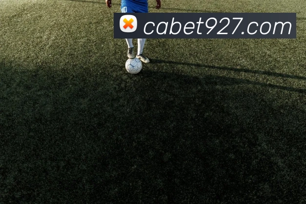 赛事专题整合